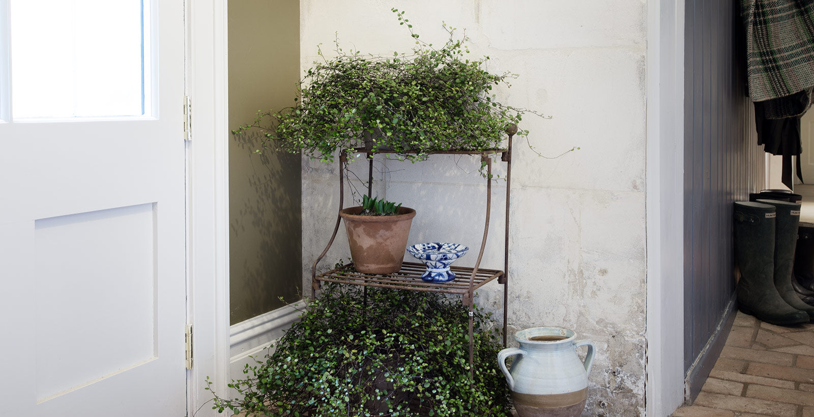 Explore our range of elegant metal plant stands in three heritage colours