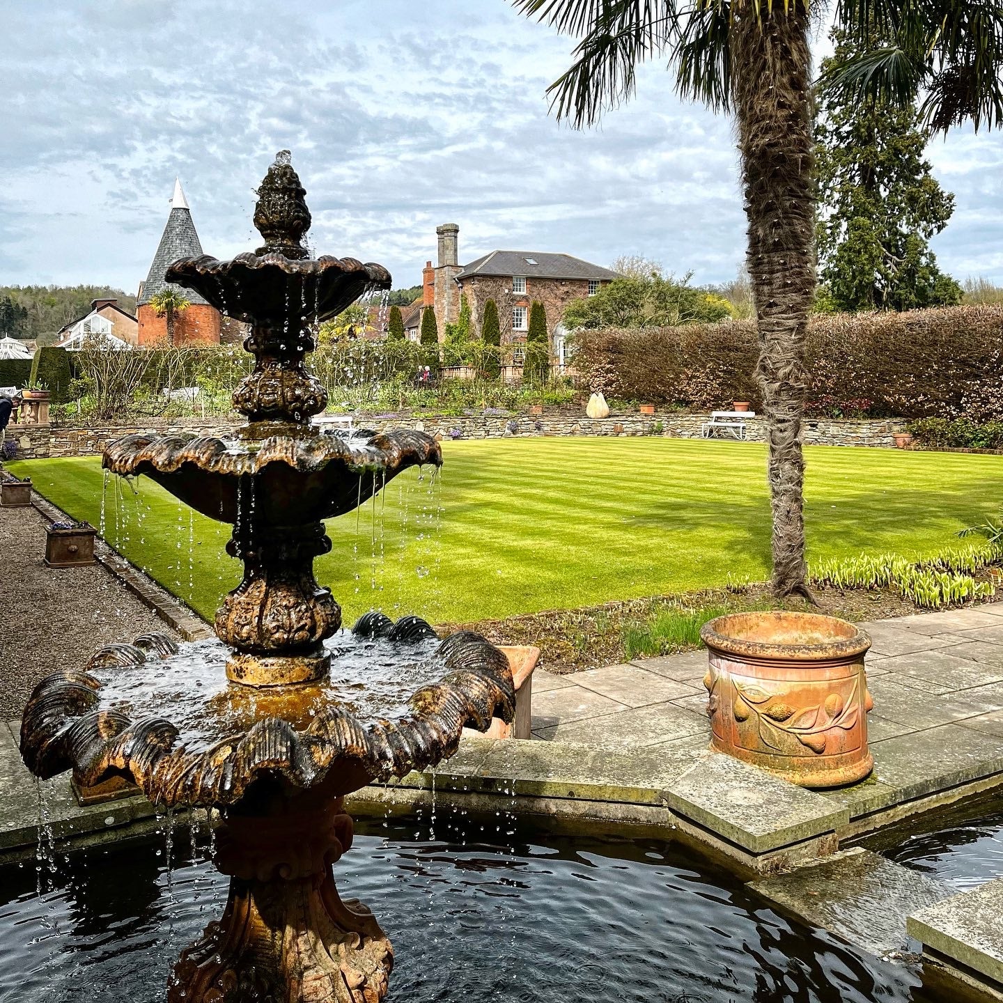 garden with water foubtain and palm tree