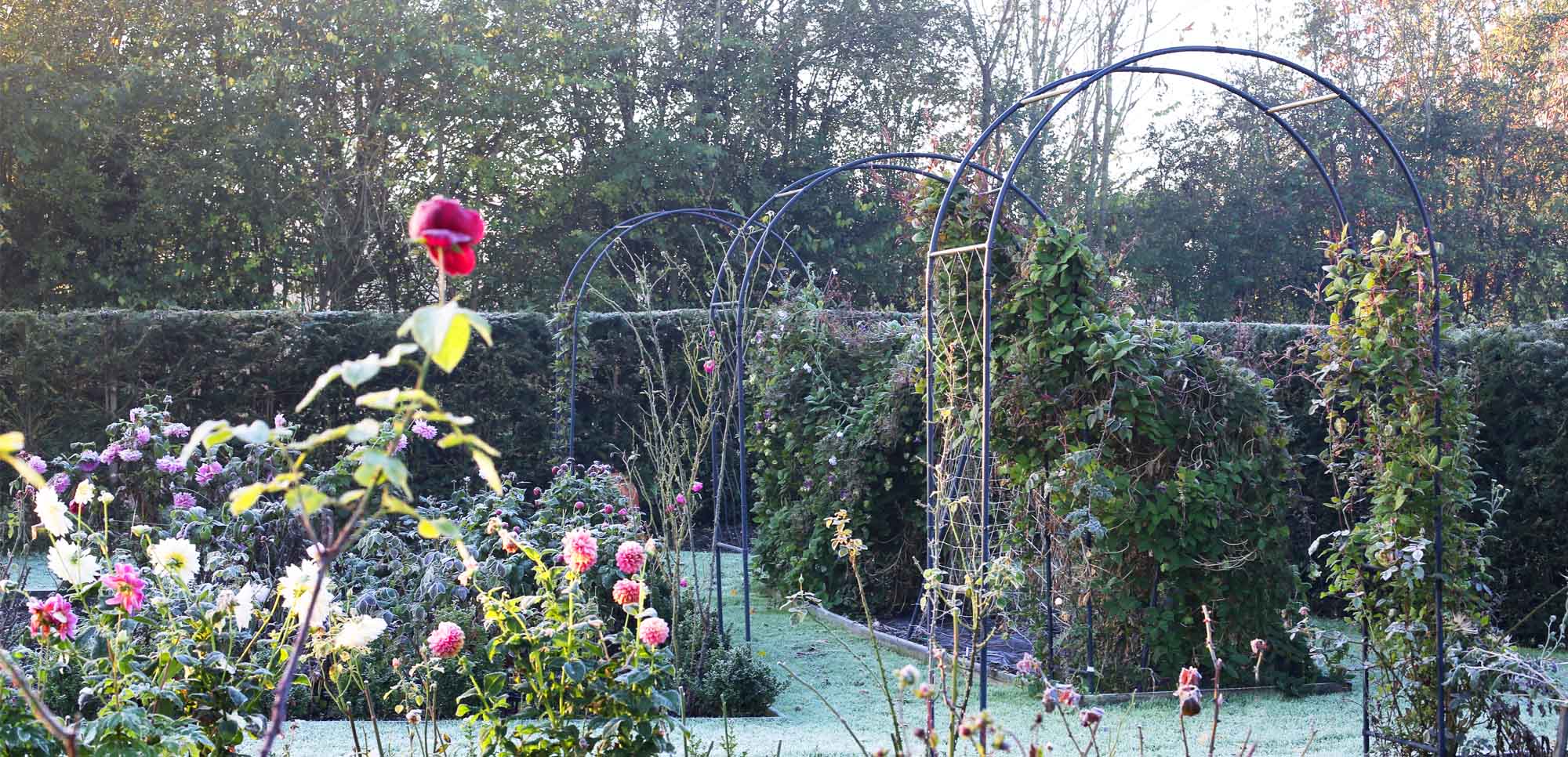 winter garden arches in a set of 3