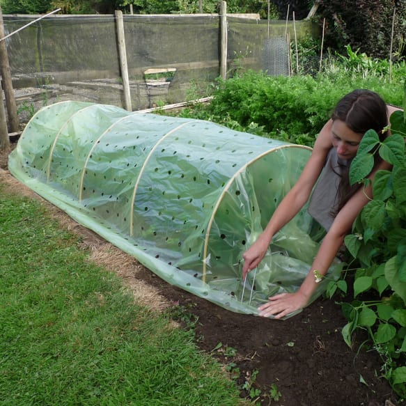 Natural bamboo tunnel hoops in use in a garden 