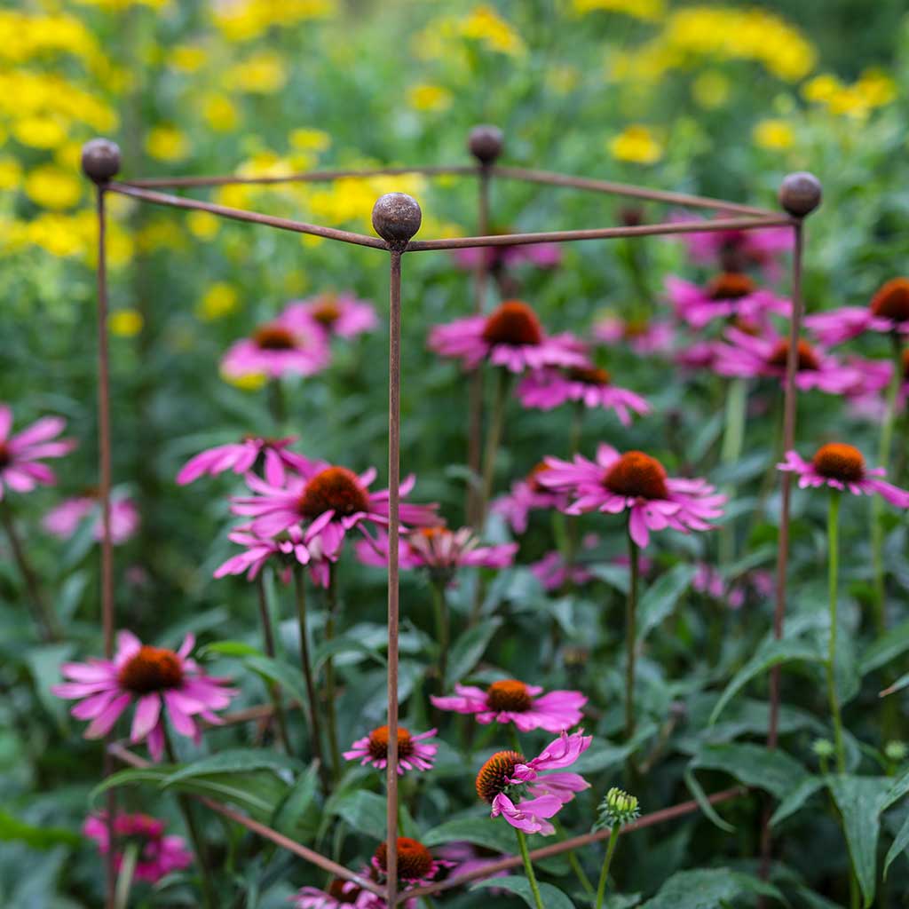 Tower Tall Plant Support Set of 3 Agriframes