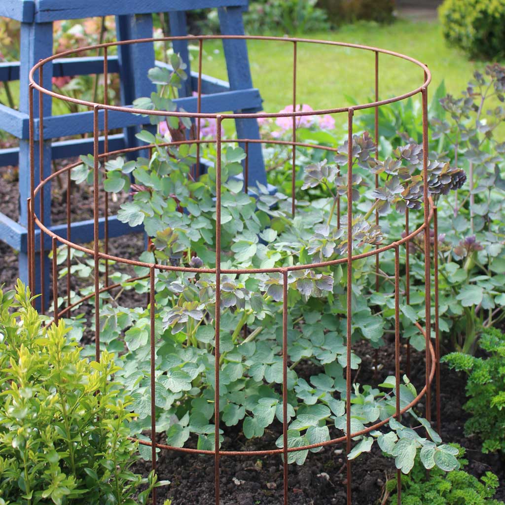 Elegance Round Plant Support Plant Frames And Supports | Agriframes