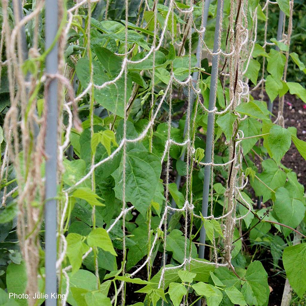 Jute Netting - Biodegradable Garden Netting