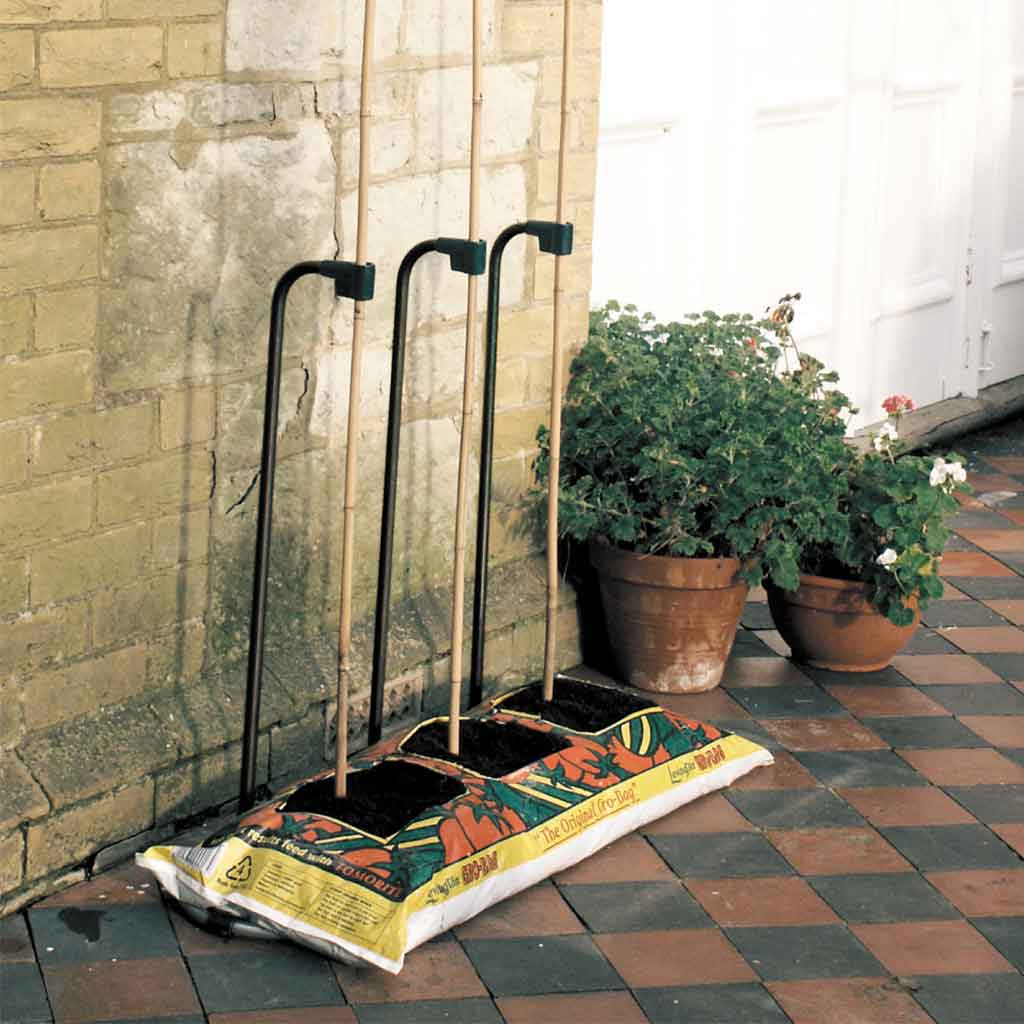 tomato plant supports for grow bags Cane Growbag Frame | Plant Supports