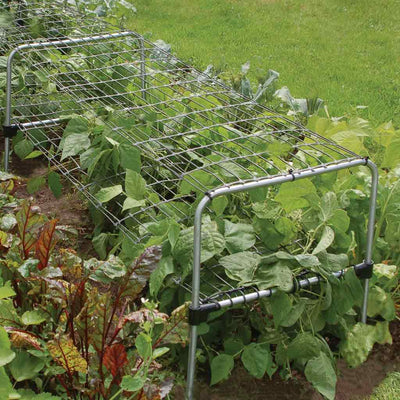 multi purpose grow through frame in sage green with netting 