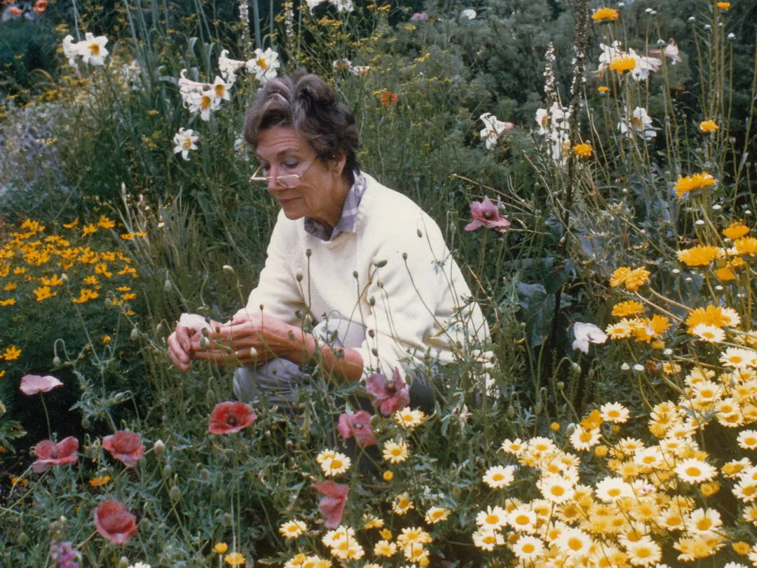 woman inspecting flowers in garden