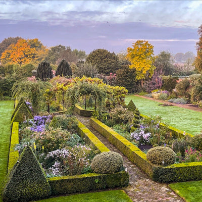 Our Top 8 National Garden Scheme Gardens to Visit This Autumn
