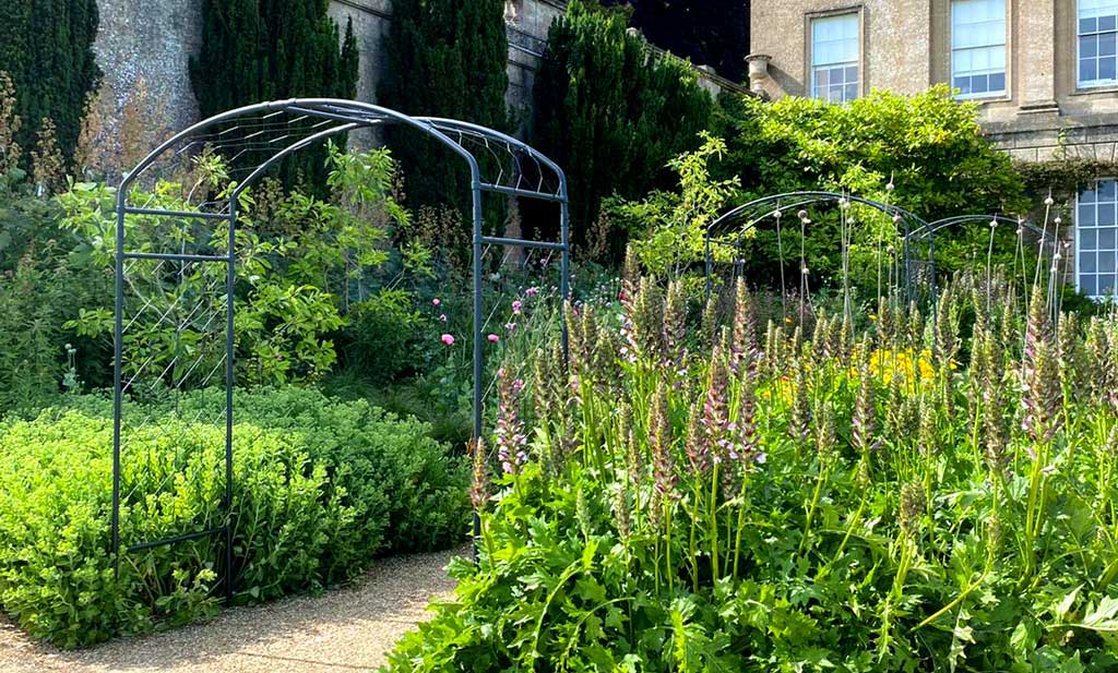 Garden Structure Ideas for Height | Agriframes