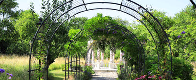 10 Tips for Adding Structure to Your Garden
