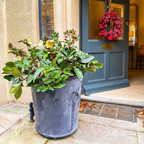 Agriframes Classic Zinc Planter