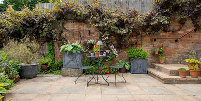 Courtyard Garden ideas with Agriframes