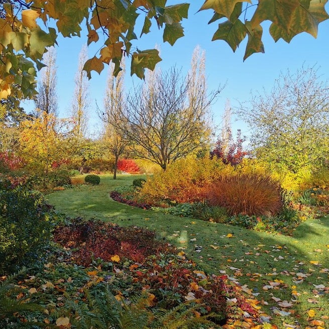 stunning autumn garden