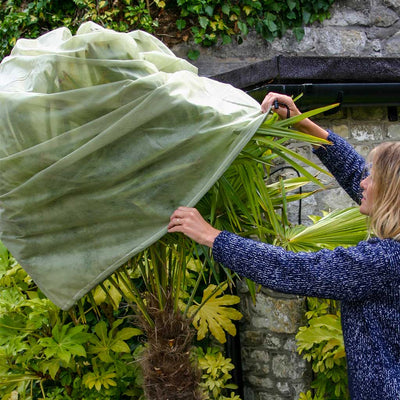 Gardening Tips For May