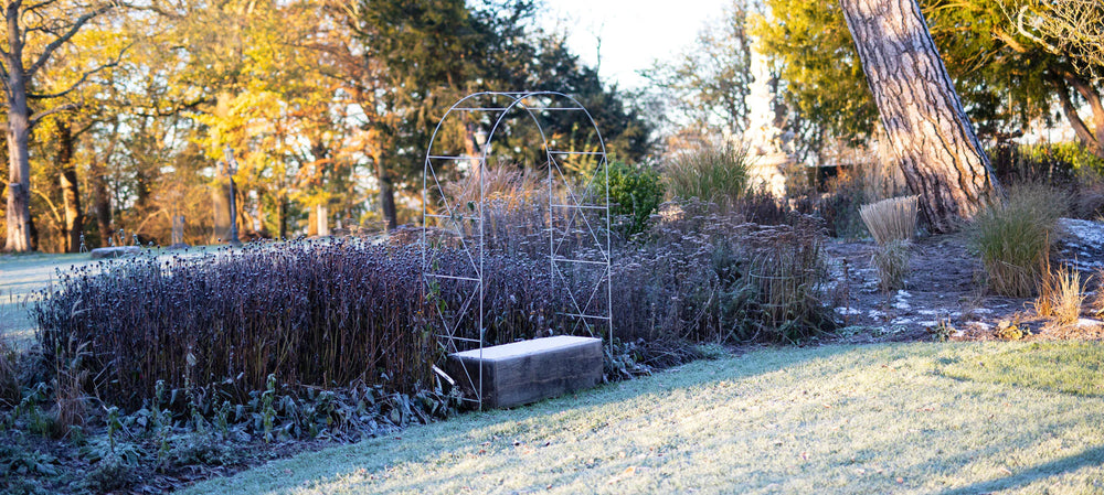 What Winter Reveals About Your Garden - and What to Plan for Spring