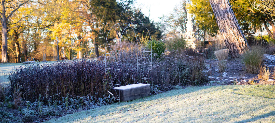 What Winter Reveals About Your Garden - and What to Plan for Spring