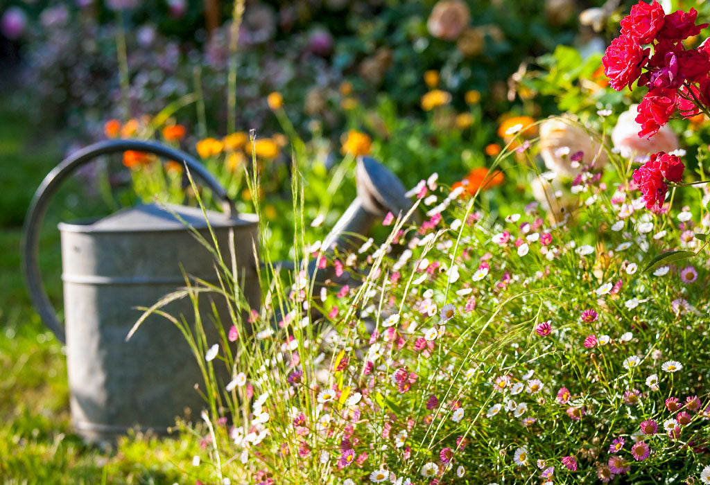What the UK Heatwave 2026 Has Taught Us About Gardening