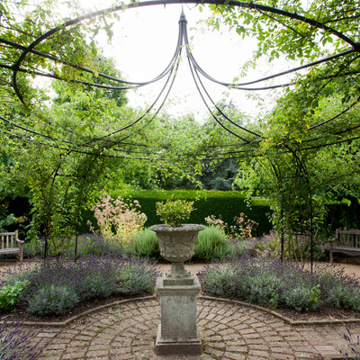 Best Climbing Plants For Gazebo or Arbour