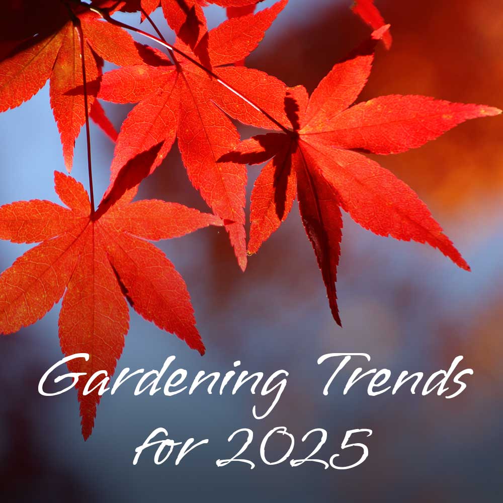 Garden Trends for 2025 | Agriframes