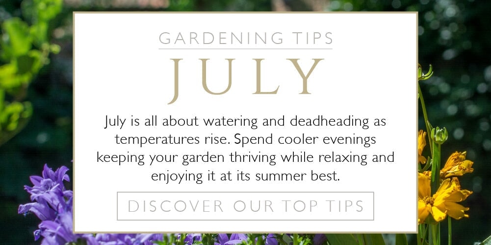 Gardening Tips for July