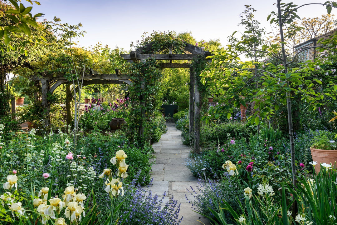 Thinking Upwards: Remember Your Garden’s Vertical Space | Jo Thompson