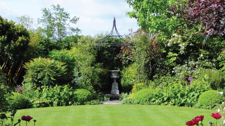 british garden with lawn and borders
