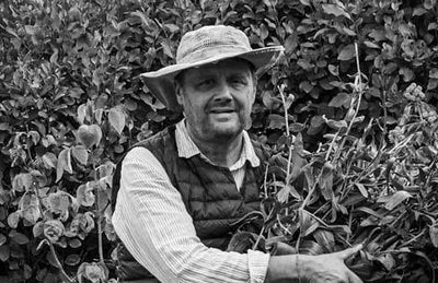 Interview with Mark Bolton, Photographer & Author of A New Cottage Garden