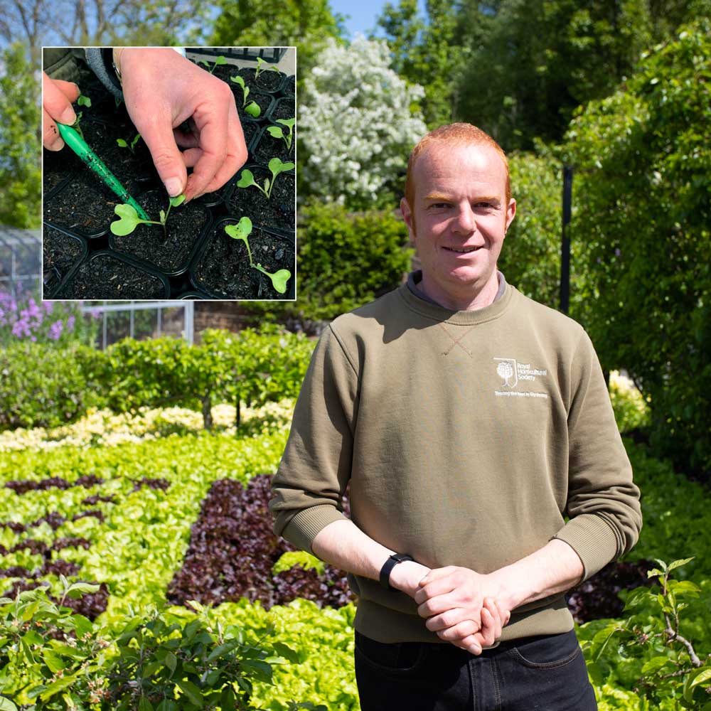 peter adams in a garden