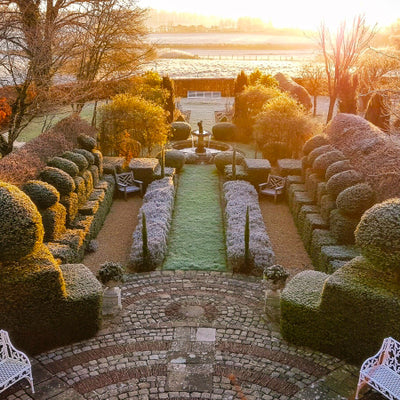Explore Enchanting Winter Gardens with NGS