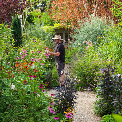 Elliott In The Garden | Interview