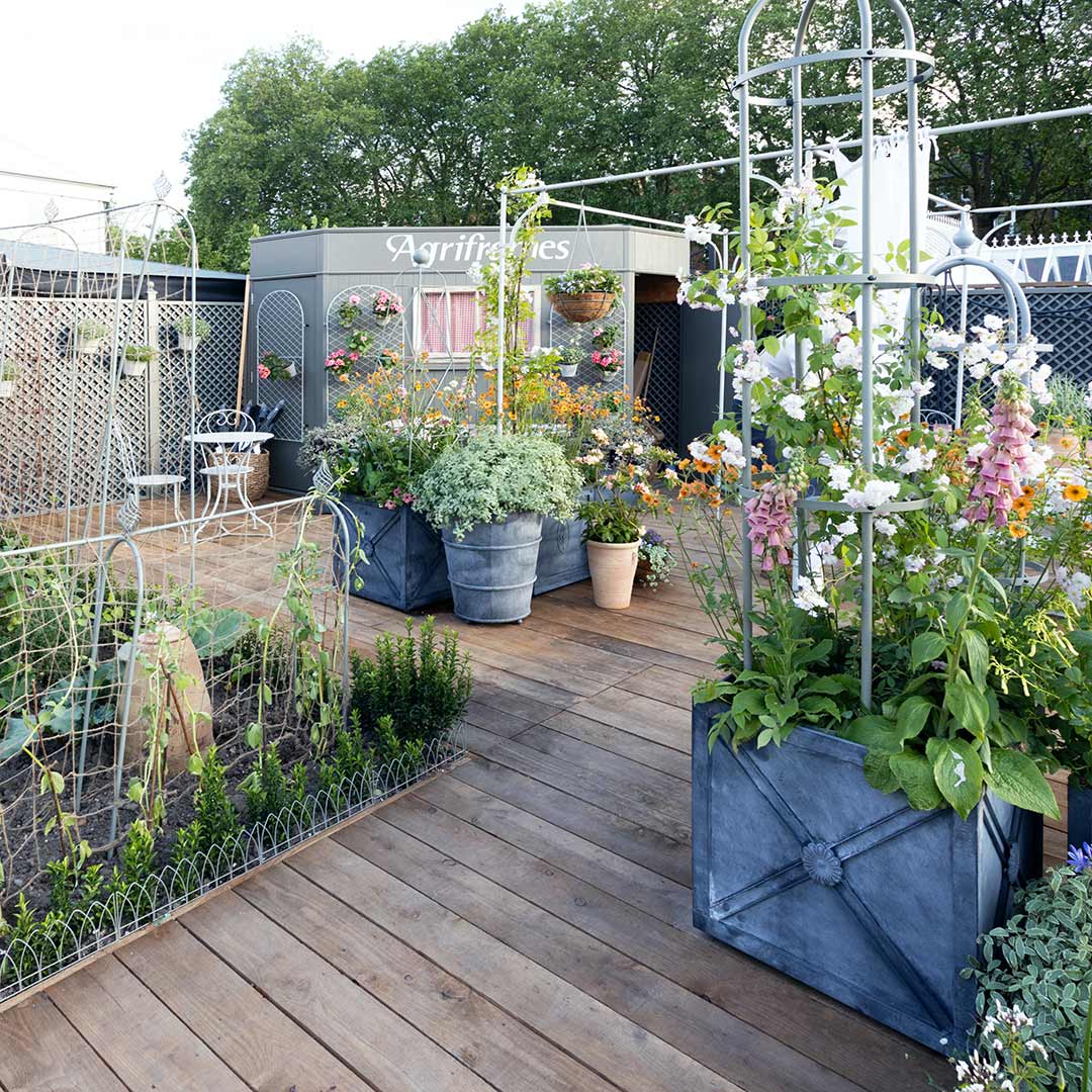 RHS Chelsea Flower show stand