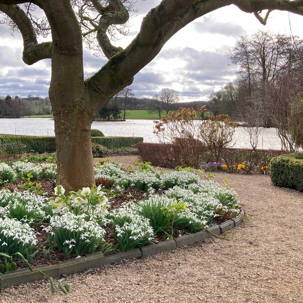 National Garden Scheme Winter Garden Walks
