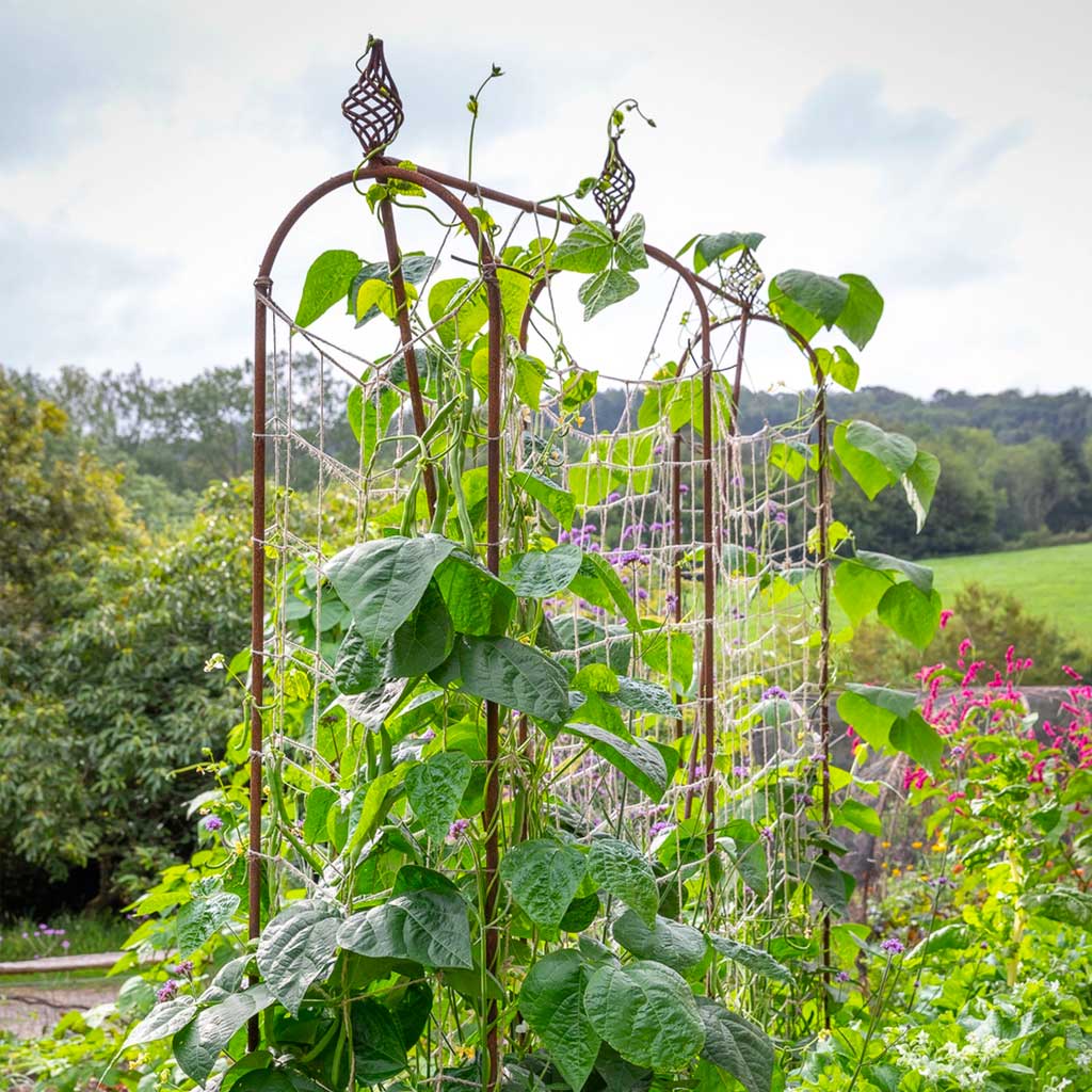 vertical plant supports