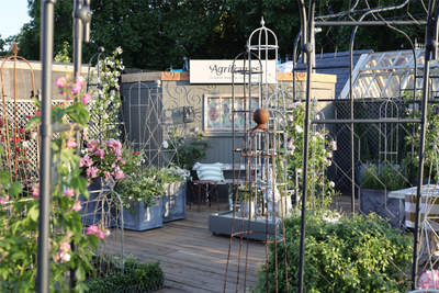 Top 10 Products from our 2025 Shows