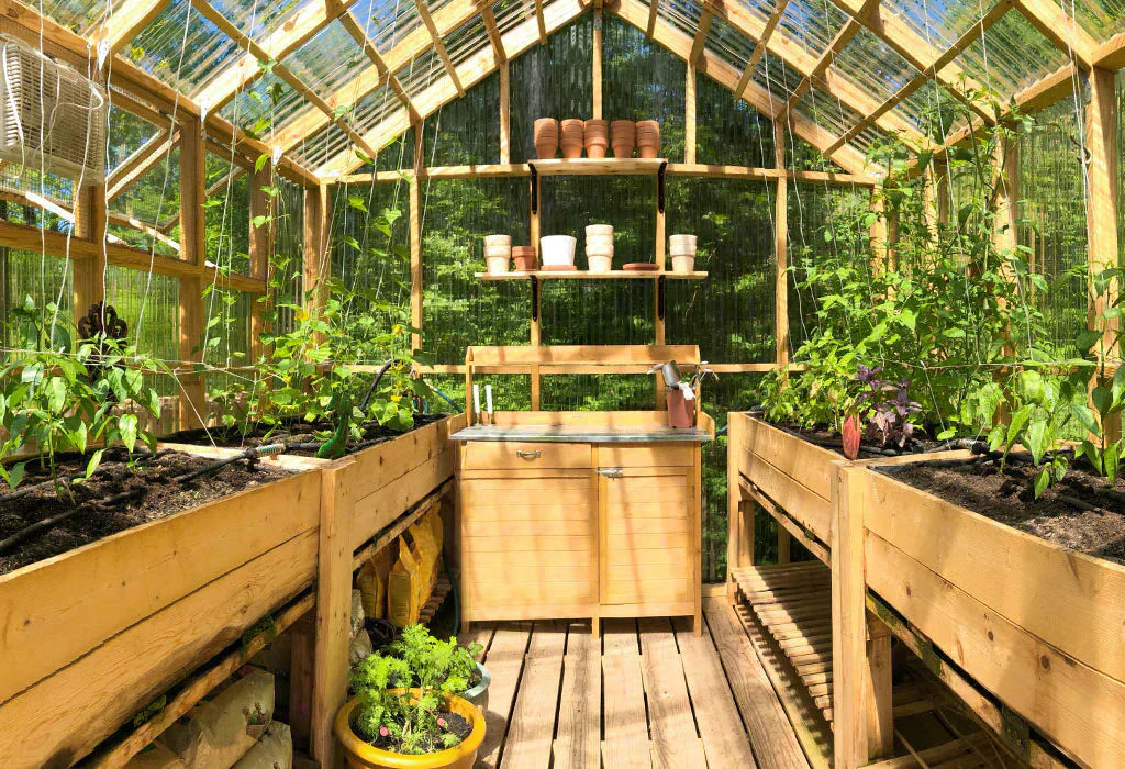 inside of a wooden gtreenhouse with raised beds