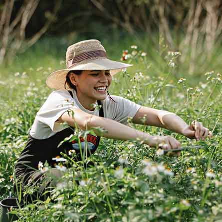 health benefits of gardening