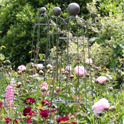 6 Plant Support Ideas