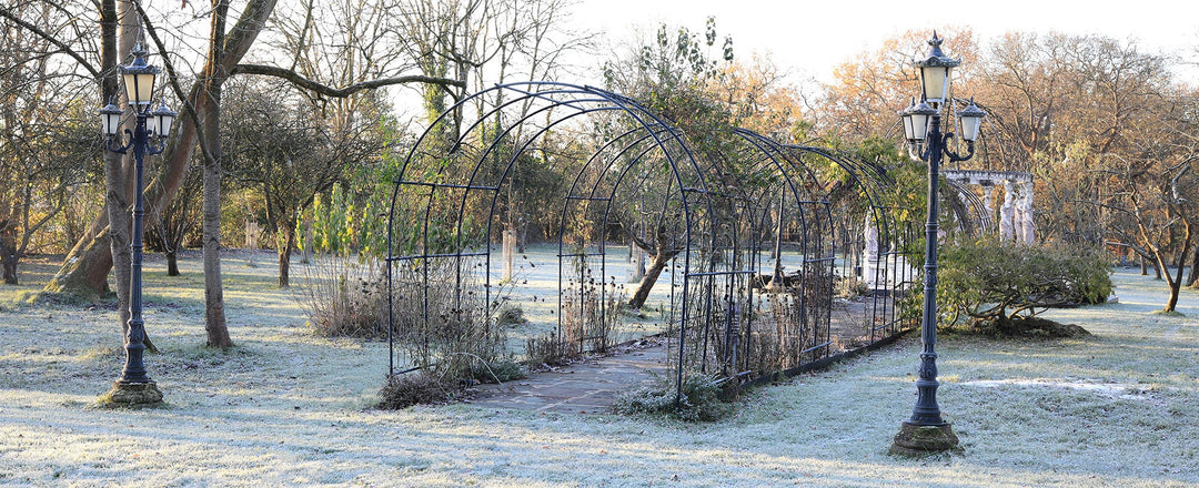 Planning A Winter Garden: Expert Planting And Design Tips