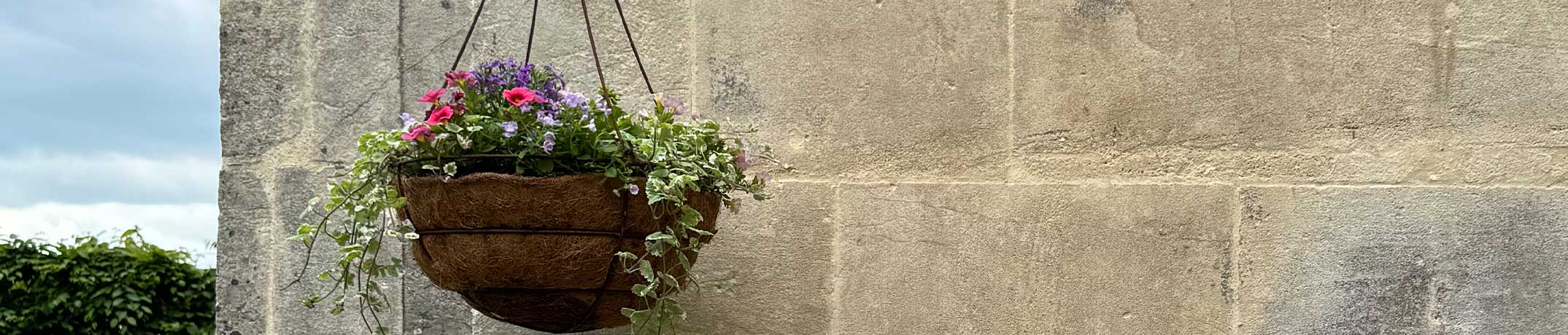 Smaller Space Gardening