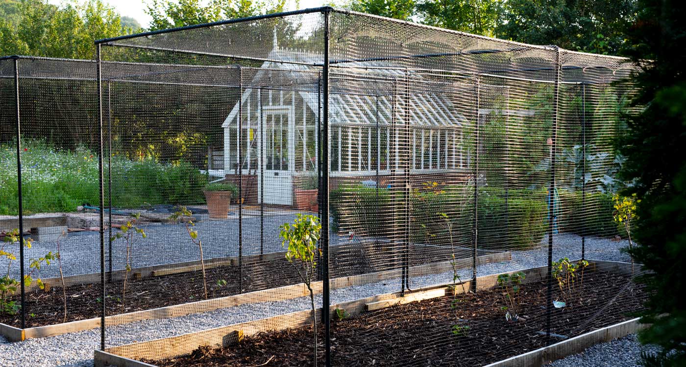 Steel Fruit Cages