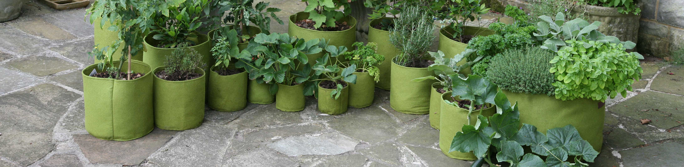 Pots and Planters