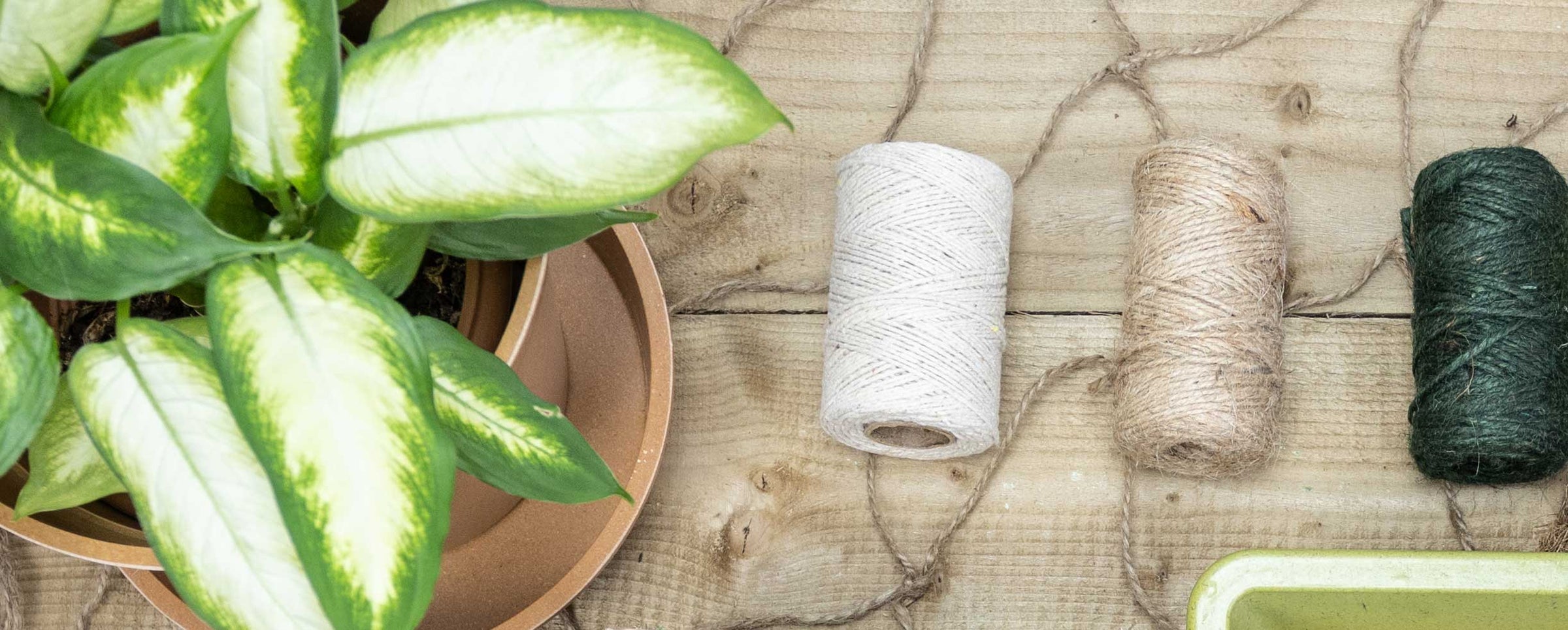 Sustainable Garden Products