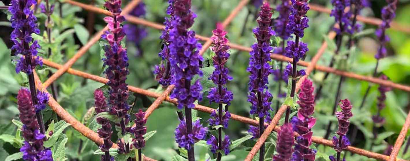 Grow Through Plant Supports