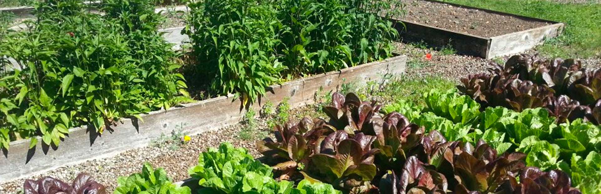 Raised Bed Planters