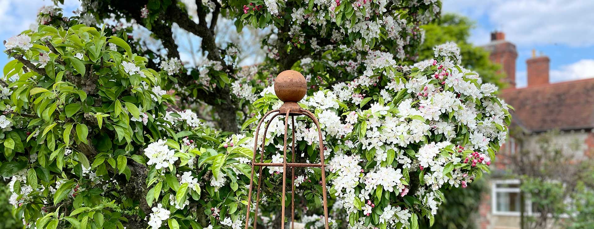 rustic garden obelisk