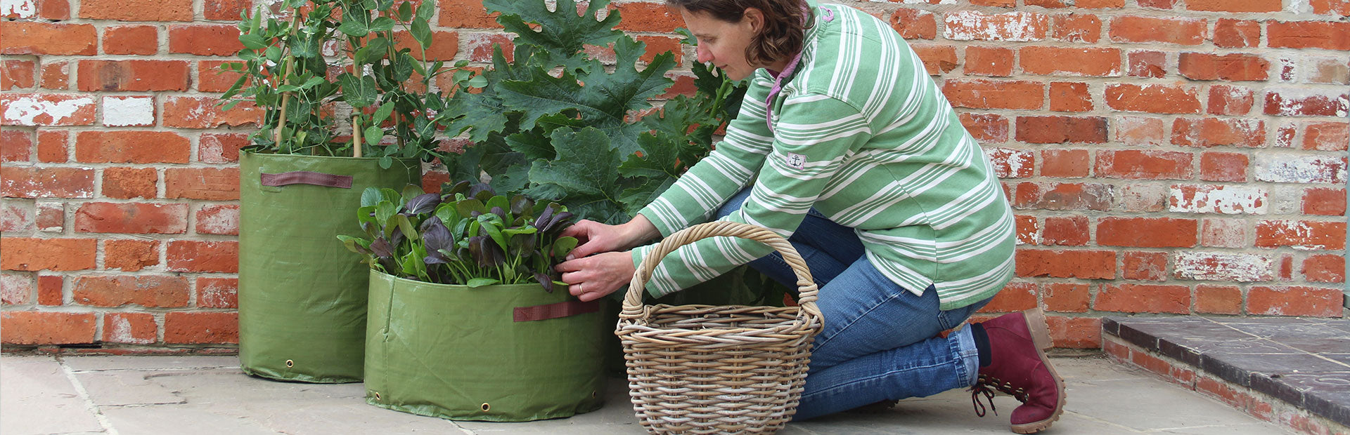 Vegetable Patio Planters