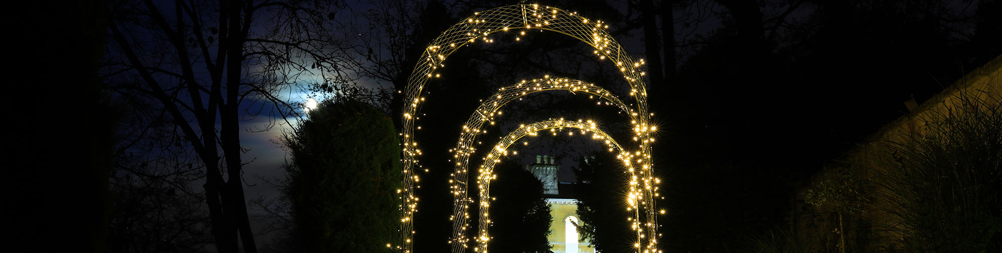 Festive Outdoor Lights