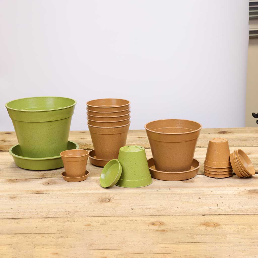 bamboo pots and saucers