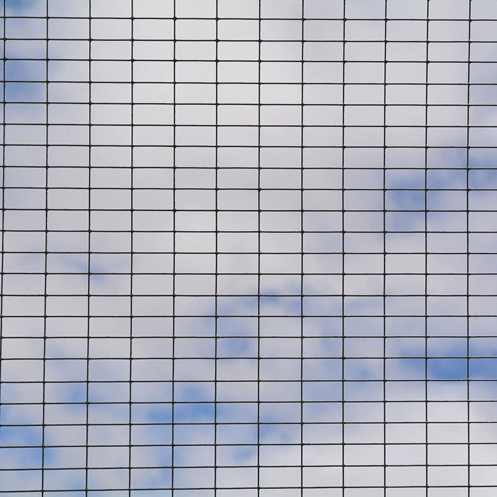 PVC Coated Weld Mesh - 0.9m x 6m - 25mm Mesh