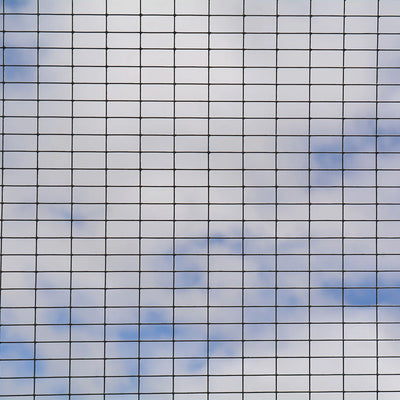 PVC Coated Weld Mesh - 0.9m x 6m - 25mm Mesh