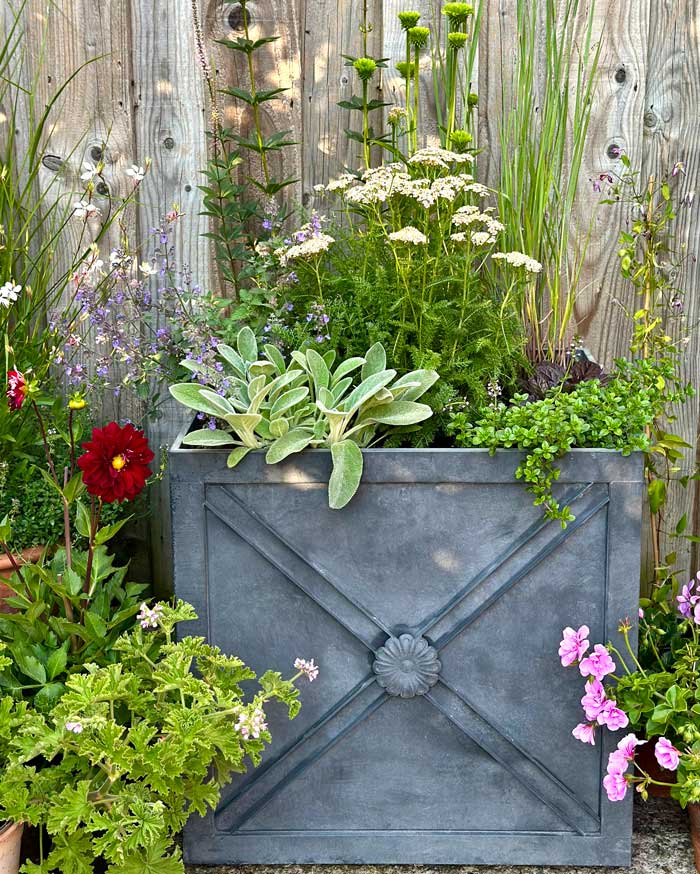 Decorative garden planter with plants against a wooden fence